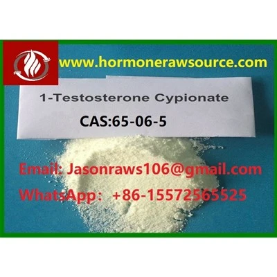 1 Testosterone Cypionate DHB 100 Mg Ml CAS: 65-06-5