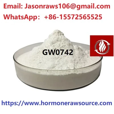 GW0742 (Cardabol) Sarms Powder For Bodybuilding CAS: 317318-84-6