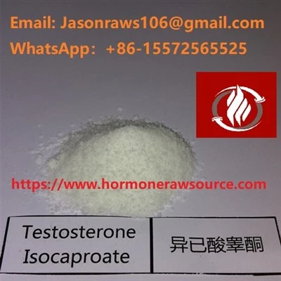 Testosterone Isocaproate For Bodybuilding CAS: 15262-86-9
